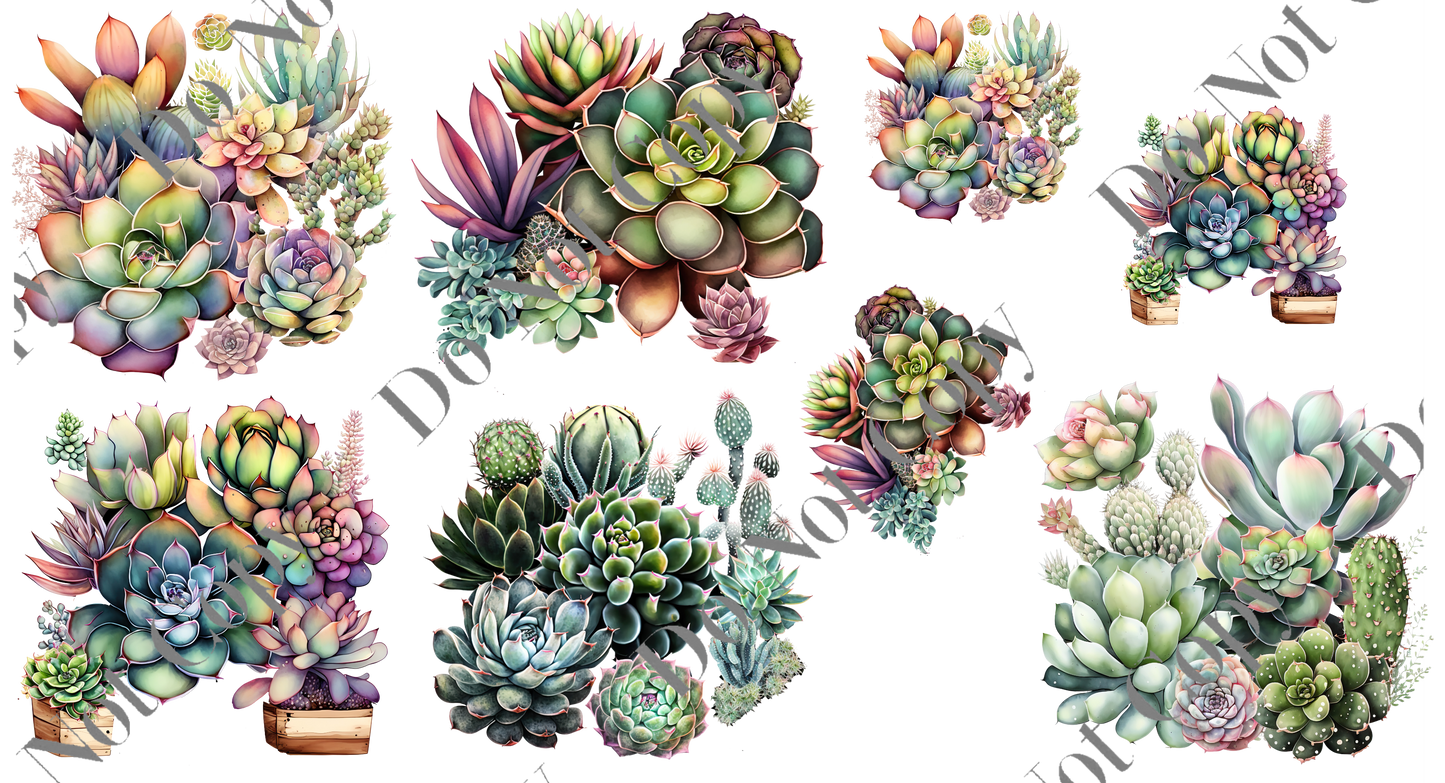 Decal Sheets - Succulents